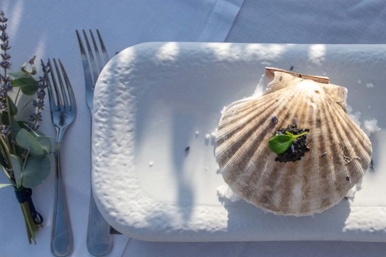 Poseidon Restaurant - seashell