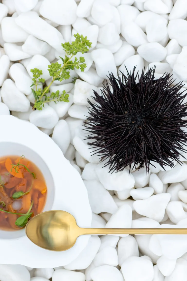 Myrtales Restaurant - Sea ​​Urchin