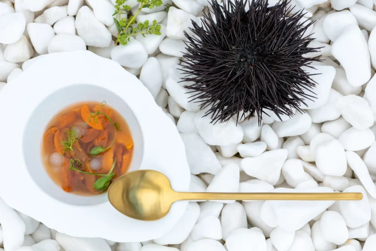 Myrtales Restaurant - sea urchin