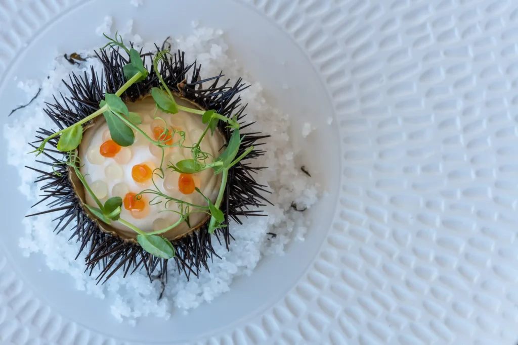 Myrtales Restaurant sea urchin