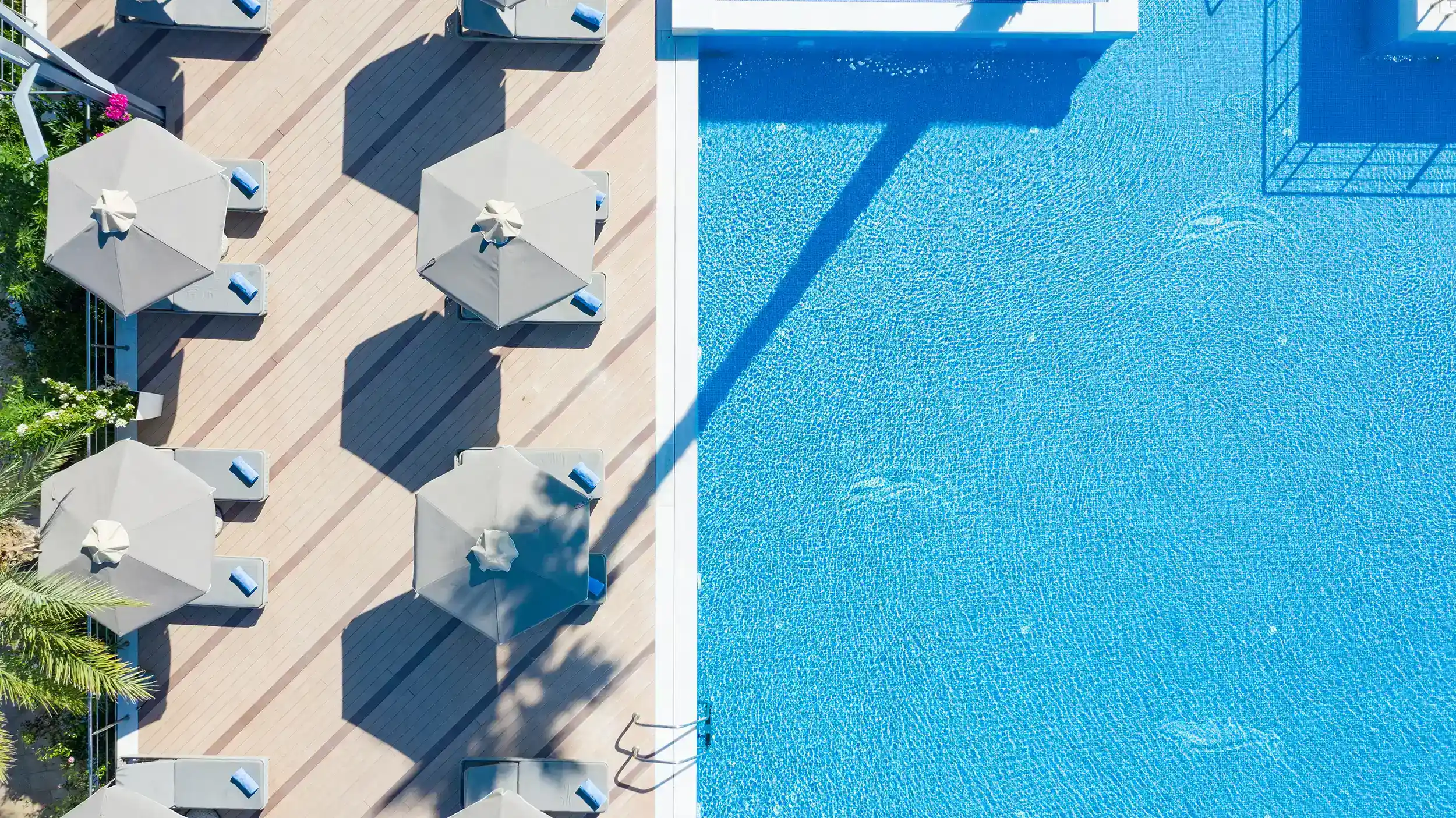 Pomegranate Aerial pool